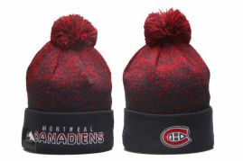 Picture of Nhl Beanies _SKUfw56097734fw